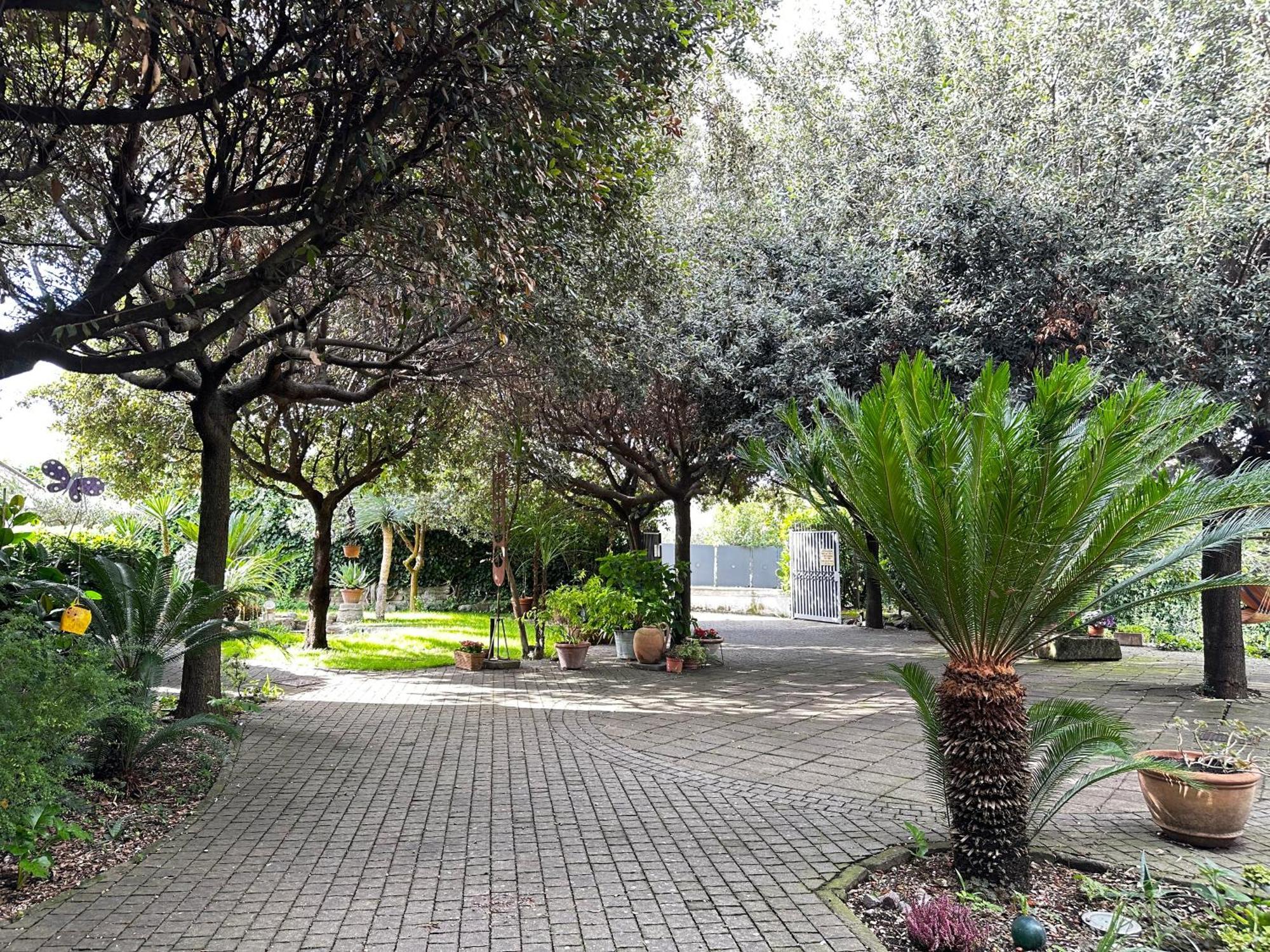 Borgo De' Paolis Apartment Grottaferrata Ngoại thất bức ảnh